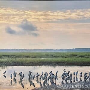 Birds on Marsh