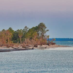 Dolphin Point