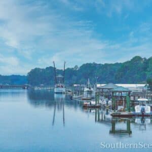 Docks on the May River