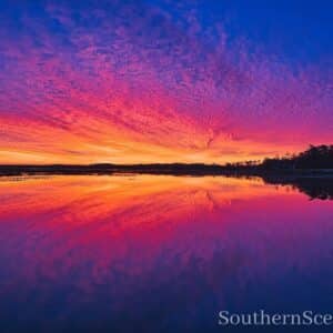 Pink and Red Sunrise