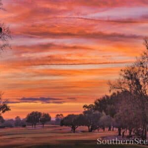 Special Belfair Sunrise