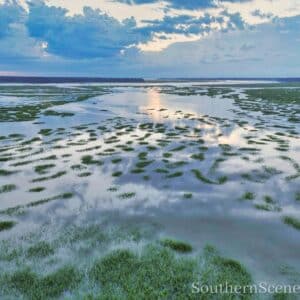 Sunrise on the Colleton River