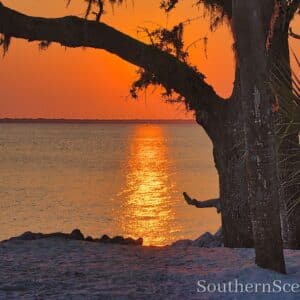 Sunrise at Dolphin Beach