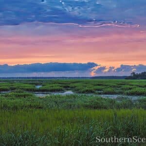 Summer Sunrise