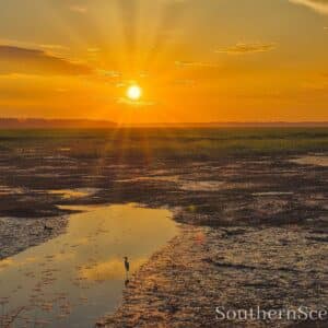 Sunrise on the River