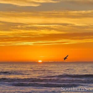 Sunrise on the Atlantic