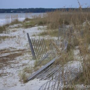 Beach Fence