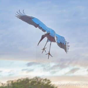 Pelican Landing