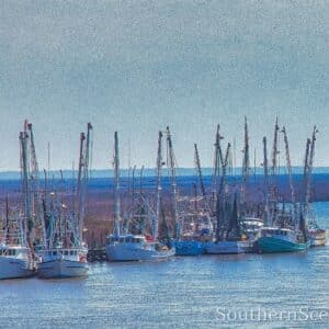 Shrimp Boats in Georgia