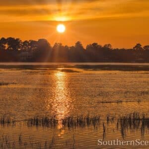 Sunrise at a Refuge
