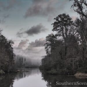 The Preserve