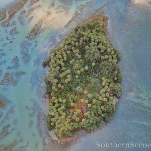 Uninhabited Palm Island