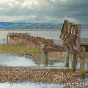 Dock Color