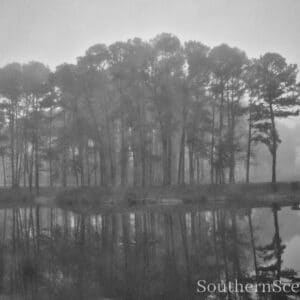 Lake in the Fog