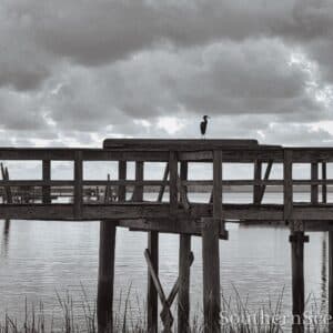 Lone Heron on a Dock at-Sunrise