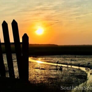 Rice Bridge at Sunrise