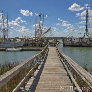 Shrimp Boats in Port Royal
