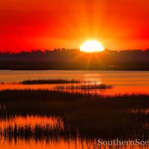 Summer Sunrise on the River with Spartina grass