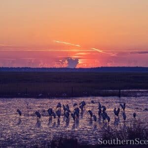 Sunrise on the Marsh 2
