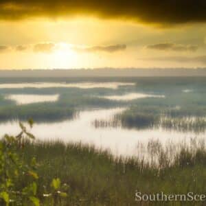 Sunrise on the Marsh