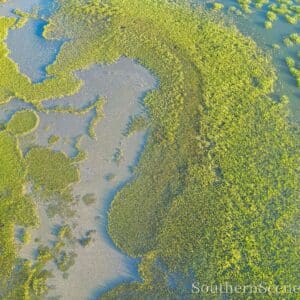 Marsh from Above