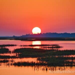 Sunrise on the Marsh