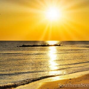 Sun Rays