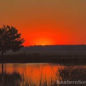 Sunrise