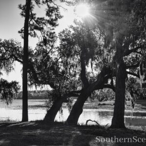 Sunrise on the River in B&W