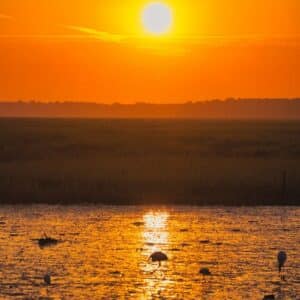 Sunrise, Vertical