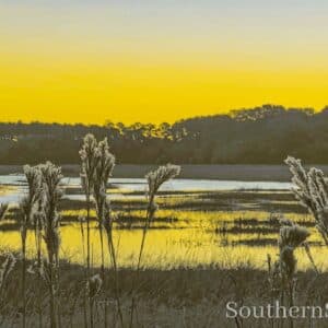Sunrise on the Marsh