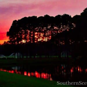 Sunset on the Golf Course