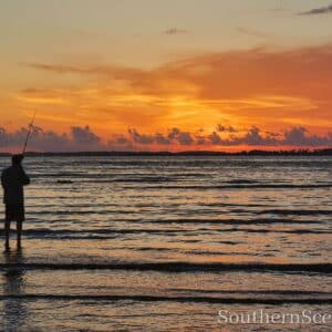 Fishing at Fish Haul