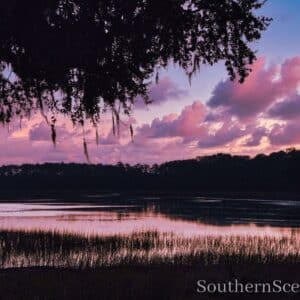 Purple Morning