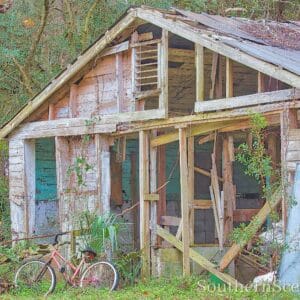 Home for Sale needs work