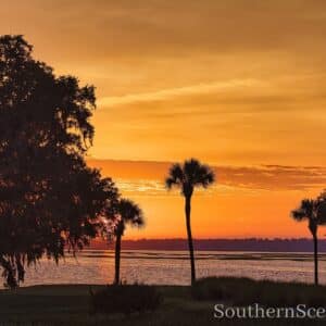 Sunrise on the River