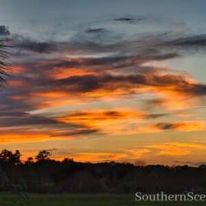 Sunset on the Causeway
