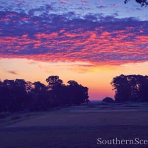 Colorful SC Sunset