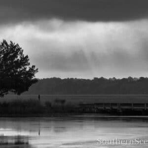 Rain on a Pond