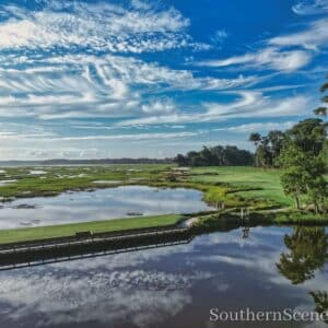 Belfair Duck Pond
