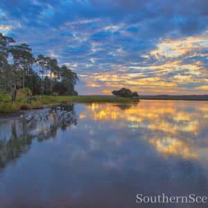 Sunrise with Wood Storks