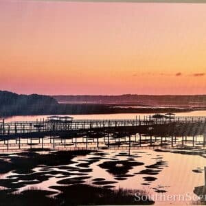 Hilton Head Docks